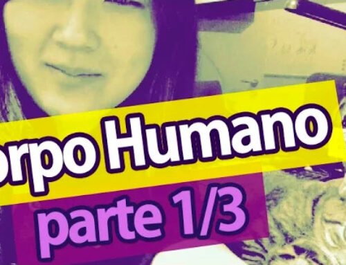 Partes do corpo humano – Partes Externas!